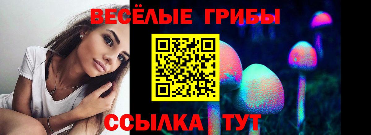 Псилоцибиновые грибы ЛСД Ирбит